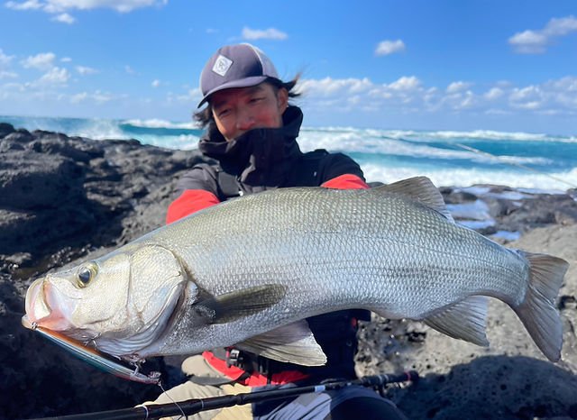 Empinado91S+｜エンピナード91S+ ｜ヒラスズキ